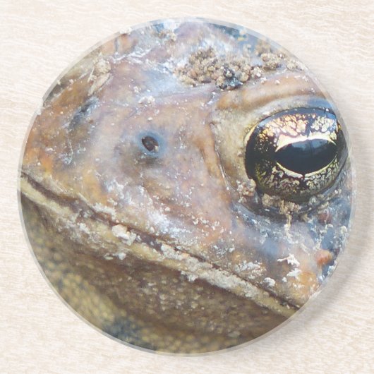 Dessous De Verre En Grès Face de crapaud (Devant)