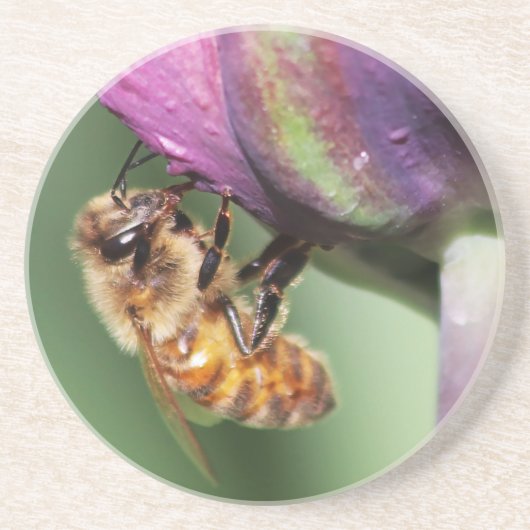 Dessous De Verre En Grès Fallen Fuzzy Little Bee (Devant)
