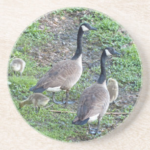 Dessous De Verre En Grès Famille canadienne d'oies