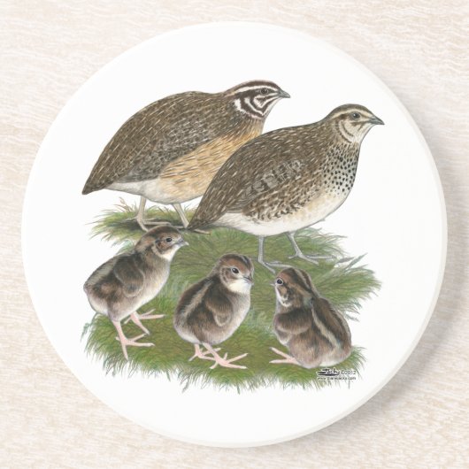 Dessous De Verre En Grès Famille des Cailles Coturnix (Devant)