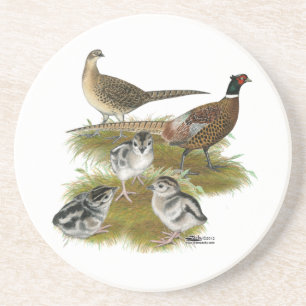 Dessous De Verre En Grès Famille Pheasant Ringneck