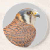 Dessous De Verre En Grès Faucon étonnant de Kestrel Sparrowhawk américain (Devant)