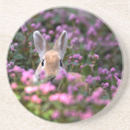 Dessous De Verre En Grès Ferme de lapins (Devant)