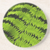 Dessous De Verre En Grès Ferme verte (Devant)