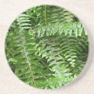 Dessous De Verre En Grès Fermer Fronds I Green Nature