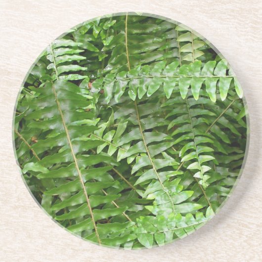 Dessous De Verre En Grès Fermer Fronds I Green Nature (Devant)