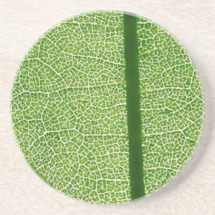 Dessous De Verre En Grès Fermer la feuille verte