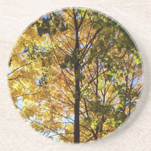 Dessous De Verre En Grès Feuillage d'automne jaune et vert (Devant)