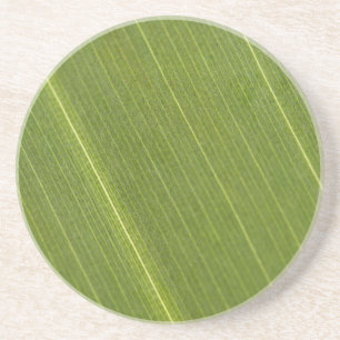 Dessous De Verre En Grès Feuille de palmier