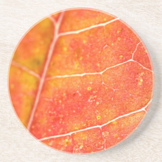 Dessous de verre en grès feuille d'érable automne (Devant)
