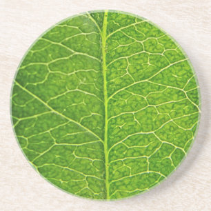 Dessous De Verre En Grès feuille verte