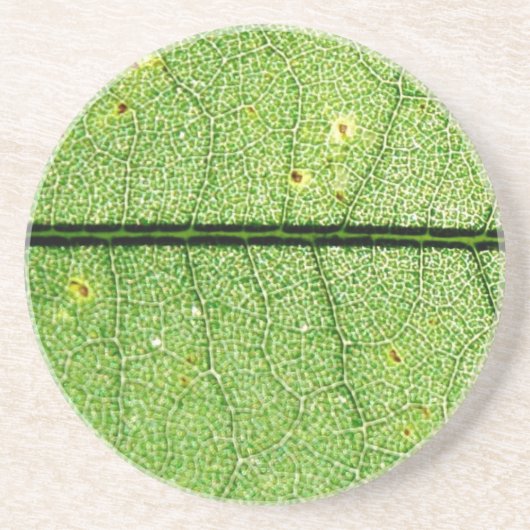 Dessous De Verre En Grès Feuille verte extrême (Devant)