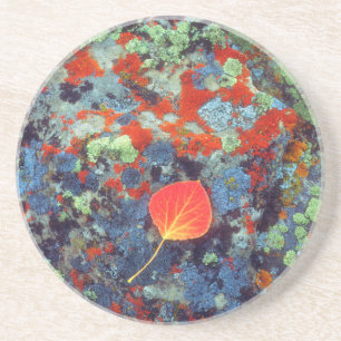 Dessous De Verre En Grès Feuilles d'Aspen sur un rocher recouvert de lichen
