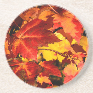Dessous De Verre En Grès Feuilles d'automne colorées, feuille d'érable roug