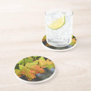 Dessous De Verre En Grès Feuilles de chute colorées