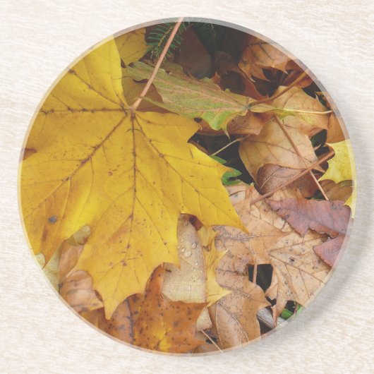 Dessous De Verre En Grès Feuilles de Érable Tombées Jaune Automne Nature (Devant)