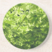 Dessous De Verre En Grès Feuilles d'érable variés (Devant)