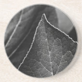 Dessous De Verre En Grès feuilles étant (Devant)