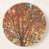 Dessous De Verre En Grès Feux d'artifice d'automne (Devant)