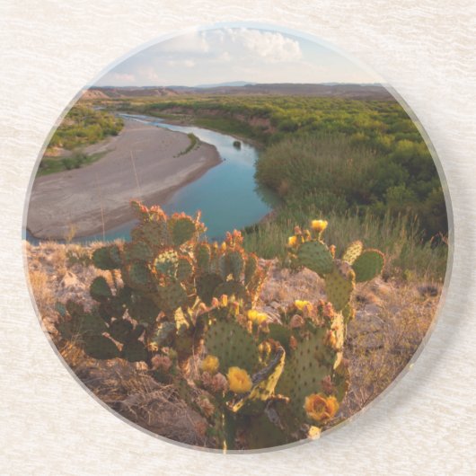 Dessous De Verre En Grès Figue de Barbarie (Opuntia Sp.) (Devant)