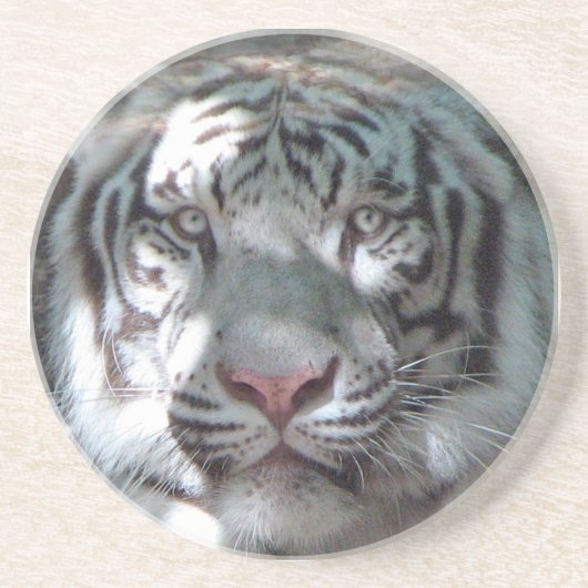 Dessous De Verre En Grès Fin blanche de tigre (Devant)
