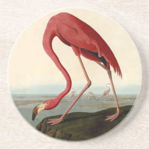 Dessous De Verre En Grès Flamant rose américain Audubon
