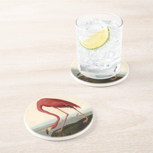 Dessous De Verre En Grès Flamant rose américain Audubon (Côté)