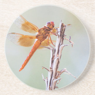 Dessous De Verre En Grès Flame Skimmer Dragonfly sur Agave