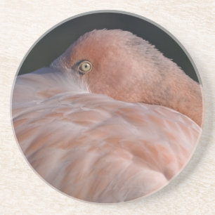 Dessous De Verre En Grès Flamingo dormant montagnes russes