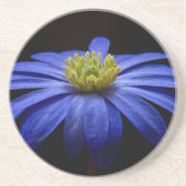 Dessous De Verre En Grès Fleur balkanique bleue d'anémone (Devant)