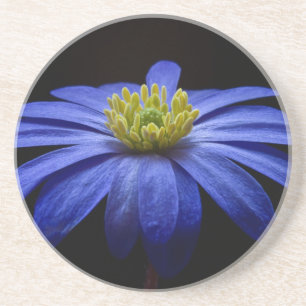 Dessous De Verre En Grès Fleur balkanique bleue d'anémone
