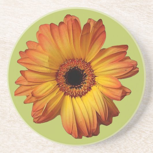 Dessous De Verre En Grès Fleur de gerbera orange ensoleillée (Devant)