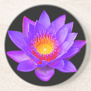 Dessous De Verre En Grès Fleur de lotus violette sur fond noir
