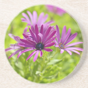Dessous De Verre En Grès Fleur de Marguerite Africaine Sous-verre