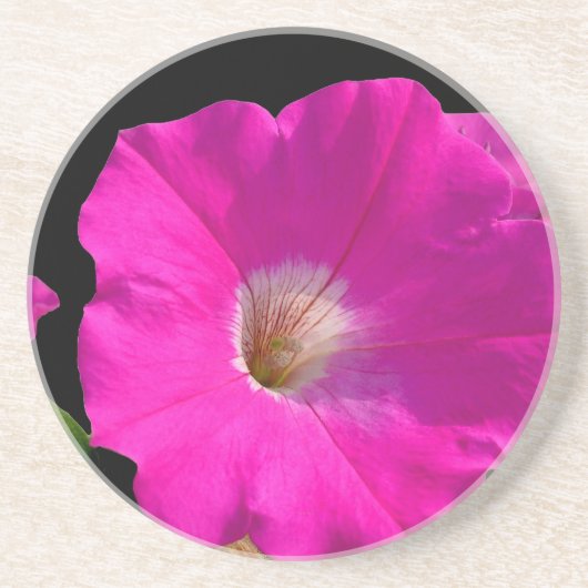 Dessous De Verre En Grès fleur de pétunia rose (Devant)
