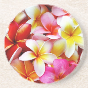 Dessous De Verre En Grès Fleur d'Hawaï de Frangipani de Plumeria customisée