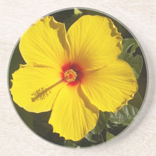Dessous De Verre En Grès Fleur d'Hibiscus jaune (Devant)