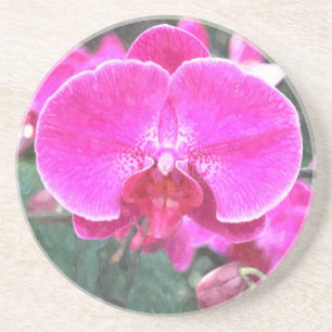 Dessous De Verre En Grès Fleur d'orchidée rose, photographie florale