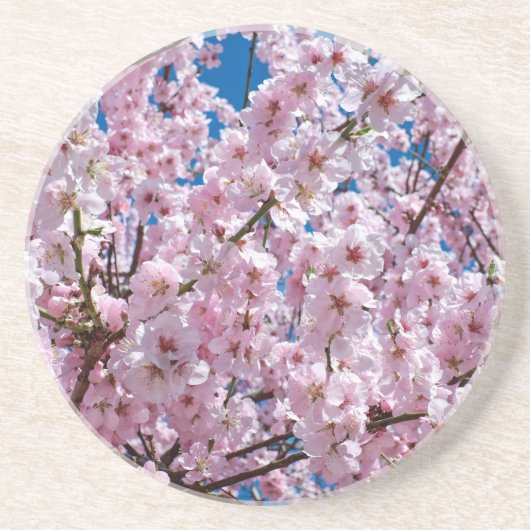 Dessous De Verre En Grès Fleur japonaise de cerisier (Devant)