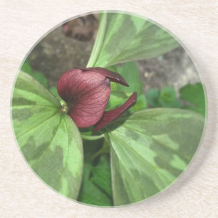 Dessous De Verre En Grès Fleur sauvage