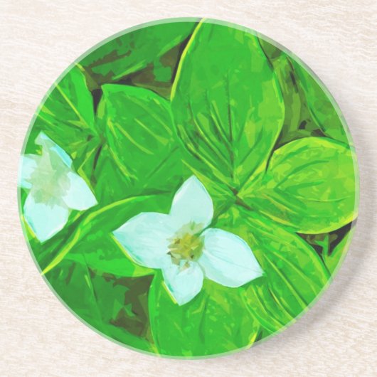 Dessous De Verre En Grès Fleur sauvage blanc Bunchberry Abstrait (Devant)