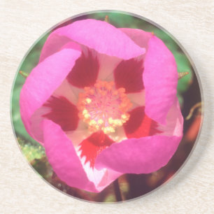 Dessous De Verre En Grès Fleur sauvage Desert Five Spot