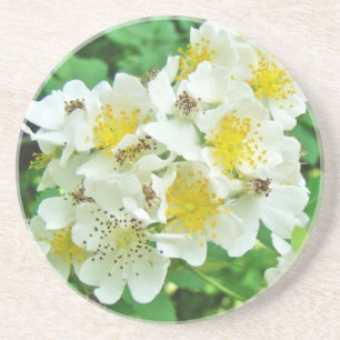 Dessous De Verre En Grès Fleur sauvage Rose de la Multiflore blanche