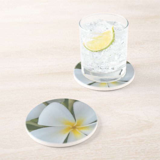 Dessous De Verre En Grès Fleur Tropicale Blanche De Fidji (Côté)