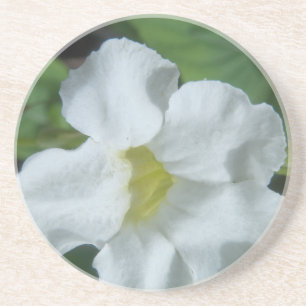 Dessous De Verre En Grès Fleur tropicale blanche trouvée à Fidji