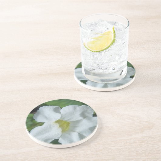 Dessous De Verre En Grès Fleur tropicale blanche trouvée à Fidji (Côté)
