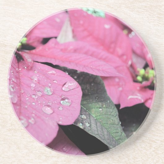 Dessous De Verre En Grès Fleurs (Devant)