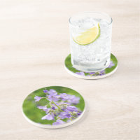 Fleurs bleues délicates sur un champ vert au print