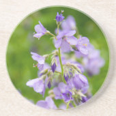 Dessous De Verre En Grès Fleurs bleues délicates sur un champ vert dans un (Devant)