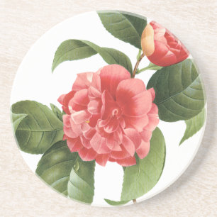 Dessous De Verre En Grès Fleurs de Camélia roses florales vintage par Redou